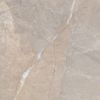 Picture of Alanya Coffee Polished Tile 60x60 cm