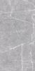 Picture of Terre Grey Polished Tile 60x120 cm