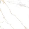 Picture of Calacatta Gold Polished Tile 60x60 cm