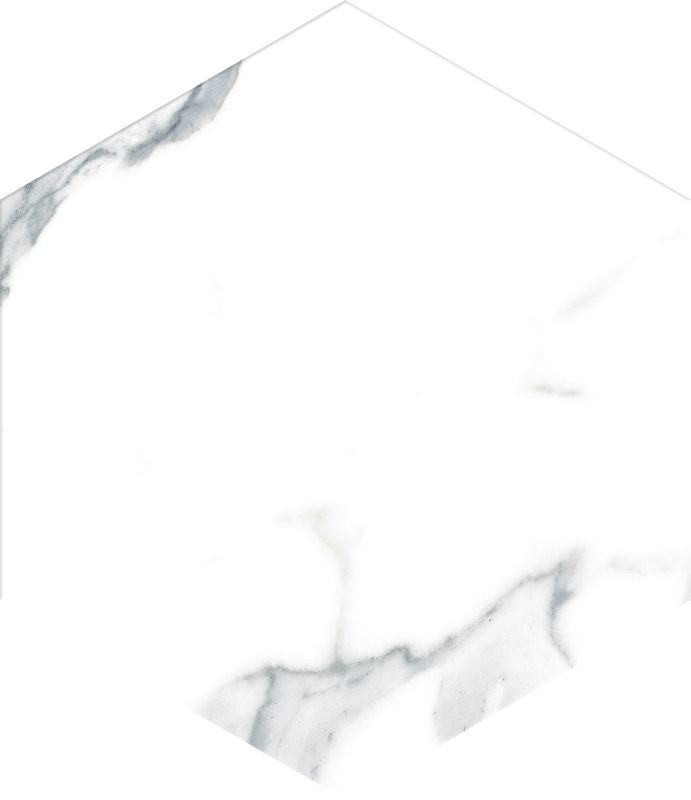 Bright Marble Effect Hexagon Tiles 21.5x25 cm I Tiles DIY