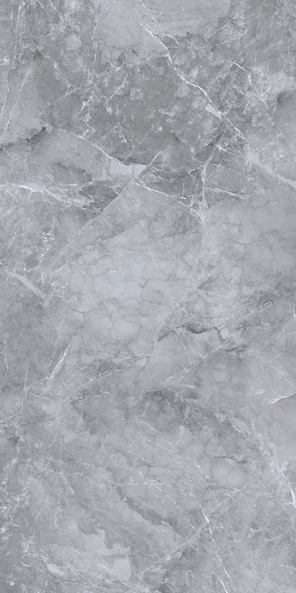 Armany Grey Polished Tile 60x120 cm I Tiles DIY