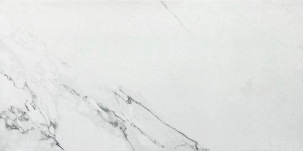 Picture of Carrara HD White Matt Tile 30x60 cm