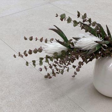 Show details for Faro Beige Matt Tile 60x120 cm Picture of Faro Beige Matt Tile 60x120 cm