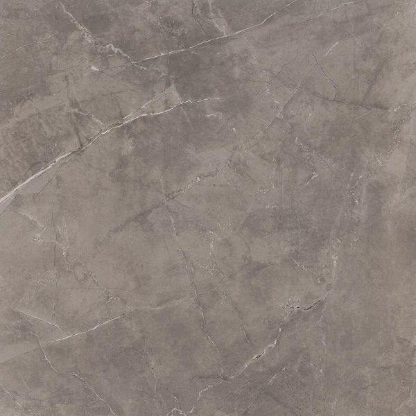 Picture of Premium Grey Polished Tile 80x80 cm