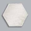 Picture of Aspen Artisan Hexagon Glossy Tile 15x17.5 cm