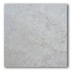 Picture of Diana Royal Marble Polished 61x61 cm