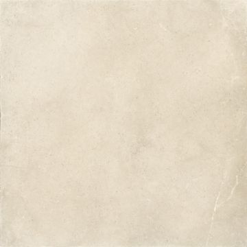 Picture of Subtle Beige Matt Tile 80x80 cm