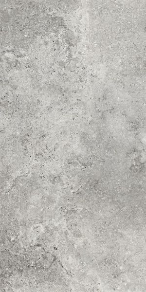 Picture of Colosseo Grey Matt Tile 61x122.2 cm