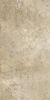 Picture of Colosseo Beige Matt Décor Tile 61x122.2 cm