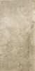 Picture of Colosseo Beige Matt Décor Tile 61x122.2 cm