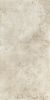 Picture of Colosseo Ivory Matt Décor Tile 61x122.2 cm