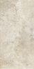 Picture of Colosseo Ivory Matt Décor Tile 61x122.2 cm