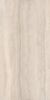 Picture of Dolomia Ivory Matt Tile 61x122.2 cm