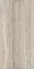 Picture of Dolomia Ivory Matt Décor Tile 61x122.2 cm