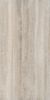 Picture of Dolomia Ivory Matt Décor Tile 61x122.2 cm