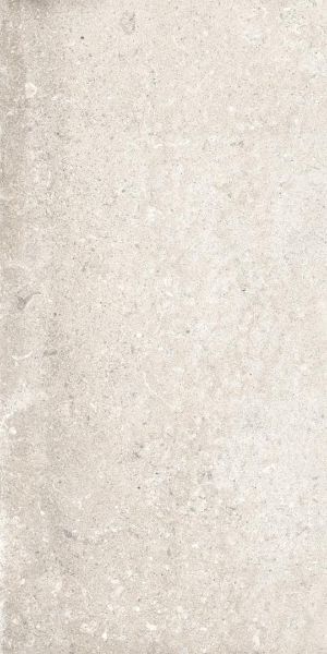 Picture of Michel Beige Matt Tile 30.4x61 cm