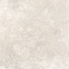 Picture of Michel Beige Matt Tile 61x61 cm