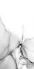 Picture of Storm White Polished Tile 60x120 cm