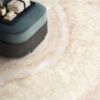 Picture of Lumia Ivory Polished Tile 60x120 cm