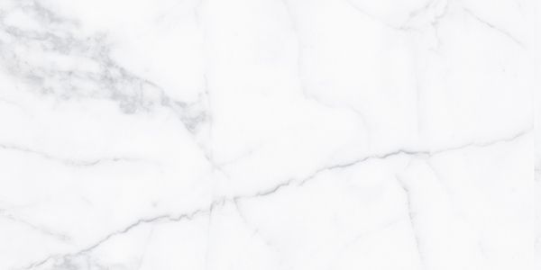 Picture of Carrara Classica Porcelain Tile 60x120 cm