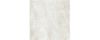 Picture of Taj Shell Gloss 60X60
