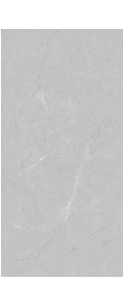 Picture of Endless Perlato Light Grey Gloss 60x120cm 