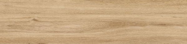 Picture of Dreamwood Oak AntiSlip 120x30