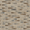 Picture of Thin Brick Travertino 4.5x19.5 cm  