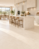 Picture of Nova Petra Bone 60x120cm 